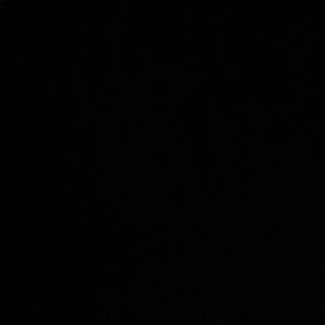 Meet your Posher, Savanna